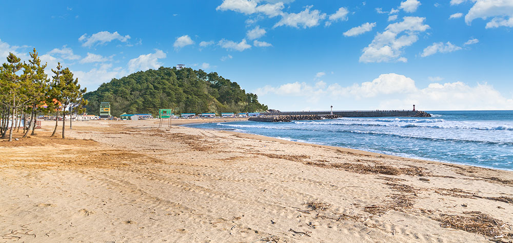 구룡포해수욕장 이미지